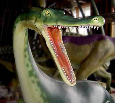 ノトサウルス 頭部