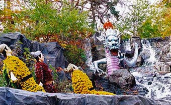 南陽の菊人形展
