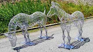 実物大仔馬のワイヤーフレーム