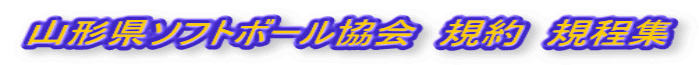 �R�`���\�t�g�{�[������@�K��@�K���W