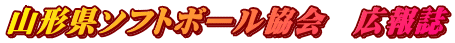 �R�`���\�t�g�{�[������@�L��