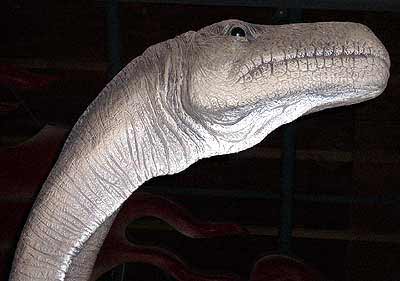 プラテオサウルス 頭部