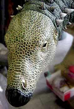 スケリドサウルス 頭部