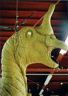 チンタオサウルスの粘土原型 頭部