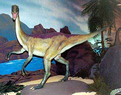 RGtBVX coelophysis 06