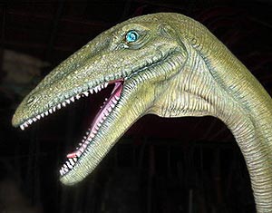 RGtBVX coelophysis 02