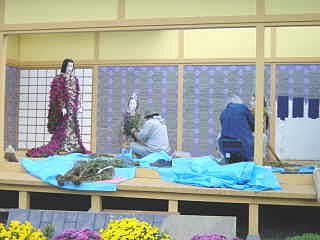 菊の着付け