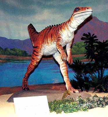 IjgXNX ornithosuchus 04