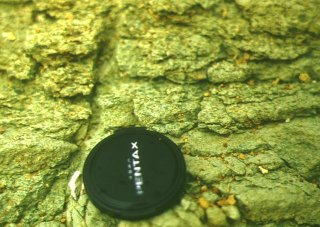 グリーンパッチ