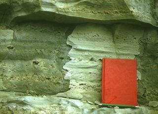 善法寺層凝灰岩